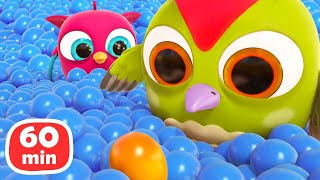 Baby cartoons. Full episodes cartoon \& Hop Hop the Owl 1-Hour cartoon for kids.