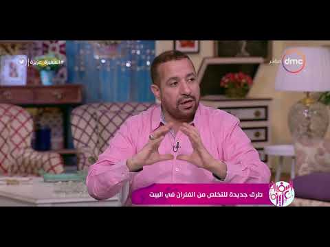 فيديو: أين تعيش الفئران في المنازل؟