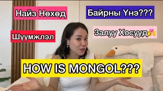 МОНГОЛЫН АМЬДРАЛ 50/50 ЮМ БАЙНА