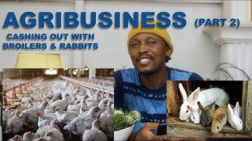 Agribusiness (Twitter Spaces) Part 2