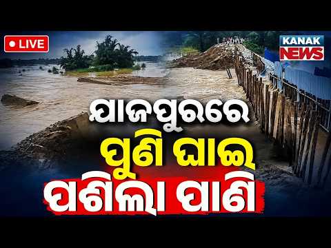 🔴 LIVE ଦଶରଥପୁରରେ ପୁଣି ଘାଇ.... Odisha Flood News | Floodwater Rises Above Breach | Breaking News
