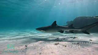 17Th July 2024 Highlight Reel