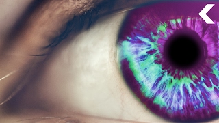Scientists Are Giving People Psychedelics to Understand Consciousness Scientists Are Giving People Psychedelics to Understand Consciousness