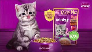 Puaskan Anak Kucing Anda Dengan Whiskas Tasty