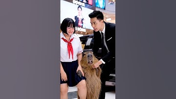 Tập 20 : Capybara ngăn cản Lan lên xe trai đẹp và cái kết bất ngờ! #capybara #ohchumchum
