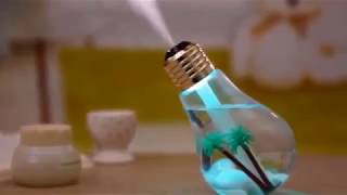 Mini Bulb Humidifier