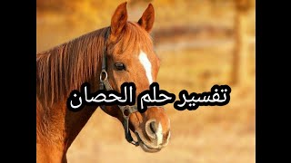 تفسير روءية الحصان الإمام ابن سيرين