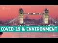 Seen from space: COVID-19 and the environment