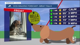 Dog-walking forecast (September 5, 2025)