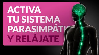 Activa tu sistema parasimpático y relájate rápido