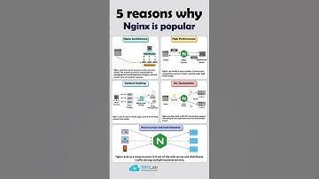 Why Is Nginx So Popular? 5 Facts You Need to Know