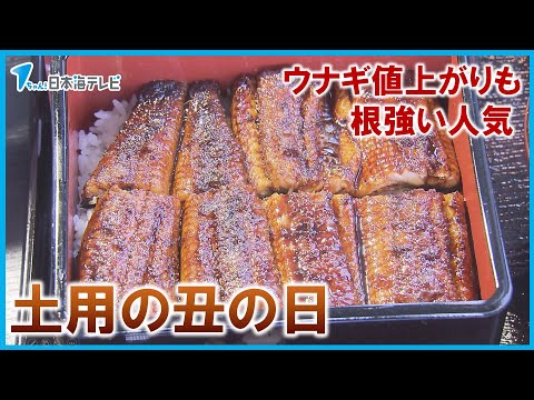 【土用の丑の日】目前でうなぎ専門店は？　価格高止まりでも人気根強く客足好調　島根県松江市