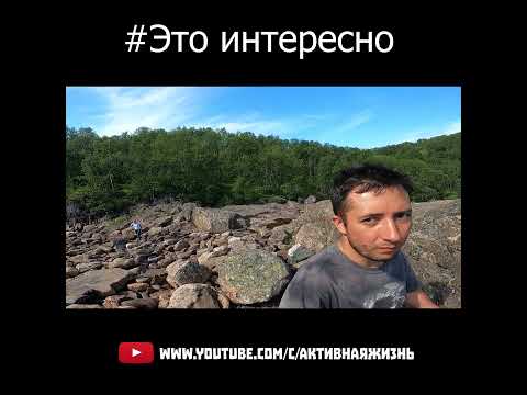 Легенда про карпа кои #shorts