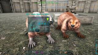 How to Disable Wandering on your Dinos - ARK Ragnarok