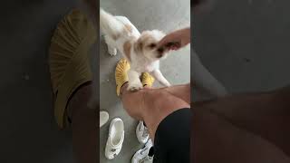 This is the best part about coming home!