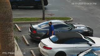 PTZ Auto Tracking | Human Detection | IC Realtime