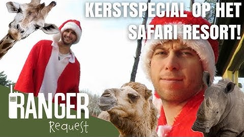 KERSTSPECIAL OP HET SAFARI RESORT! | Ranger Request