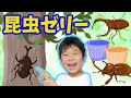 ★カブトムシとクワガタ発見できるかな！？～はたして昆虫ゼリーにカブトムシたちは集まるのか！？～★