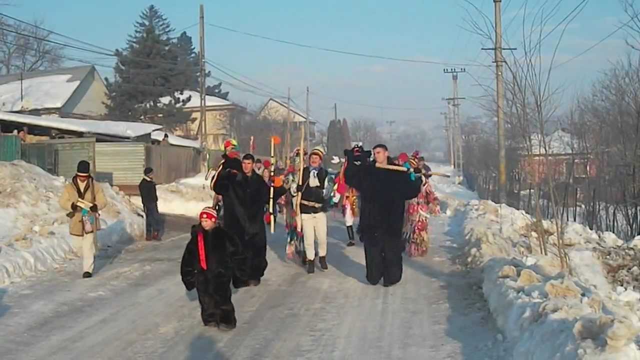 Ursul Rediu 2012(part.3)