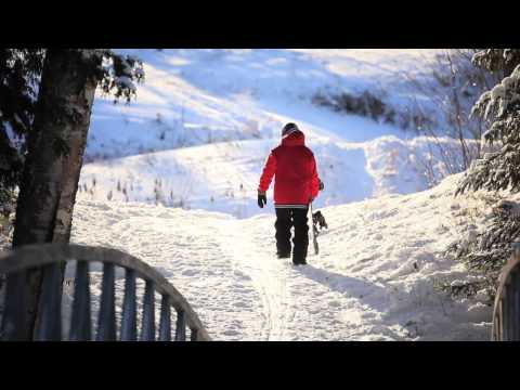 Seb Toots 2012 snowboarding video part