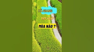 Phượt Hà Giang và anh hướng dẫn viên du lịch có tâm nhất Hà Giang|| A Táo Hà Giang #shorts