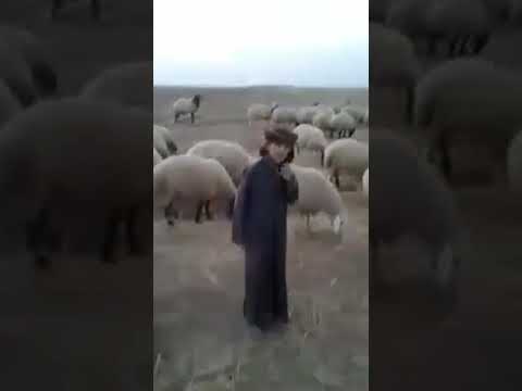 شاهدو هاذا الطفل كيف يحفظ نسب الرسول صلى الله عليه وسلم