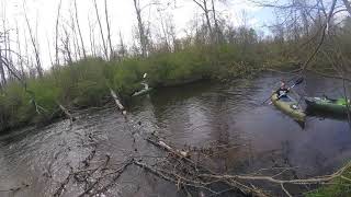 Little Muskeon River Log Jam