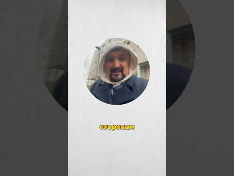 К цели с Богом. Узнать подробно в телеграм Бизнес по-честному просто набери в поиске телеграм