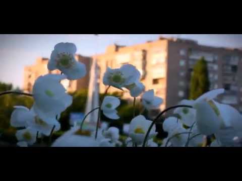 Никополь родной