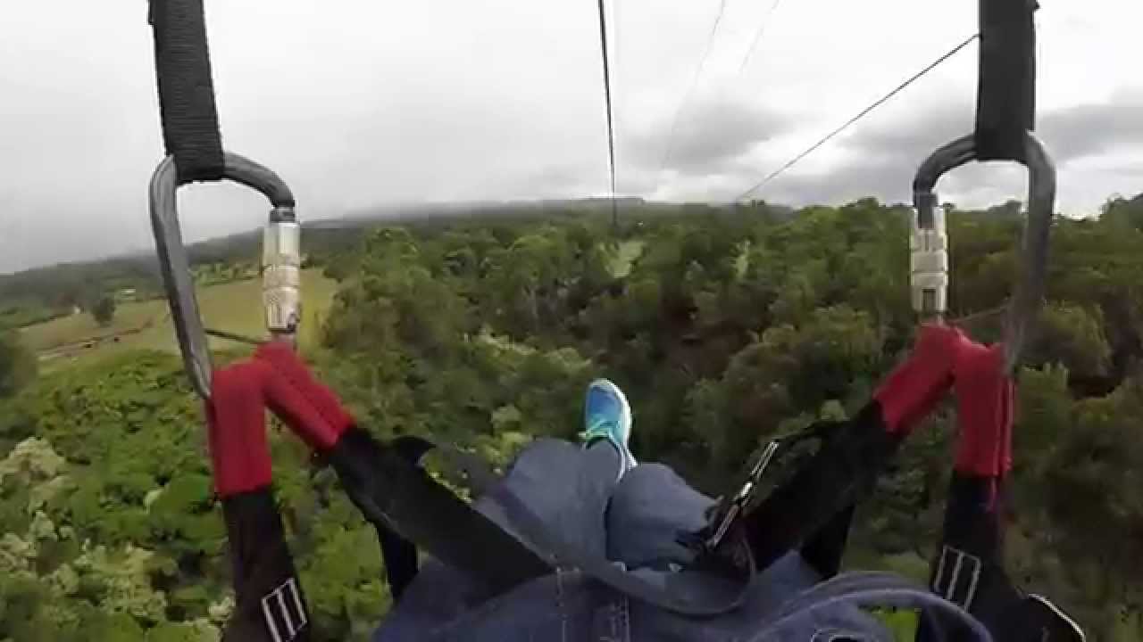 Longest Zipline in Maui Hawaii Piiholo Ranch Line 5 YouTube