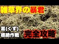 【完全攻略】クズ（葛）根絶作戦