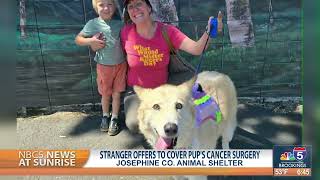 Josephine County Shelter Dog Princess Gets Happy Ending