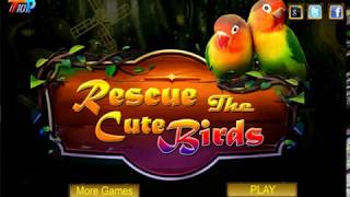 Rescue the cute birds screenshot 2