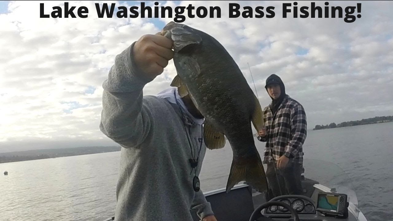 Lake Washington Bass fishing!