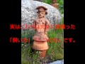 愛犬の遠吠えでお悩みのあなたに・・・