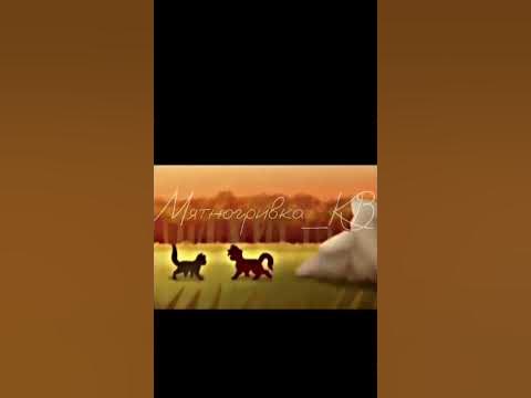 Огнезвезд и Песчанная Буря эдит 💞 - YouTube
