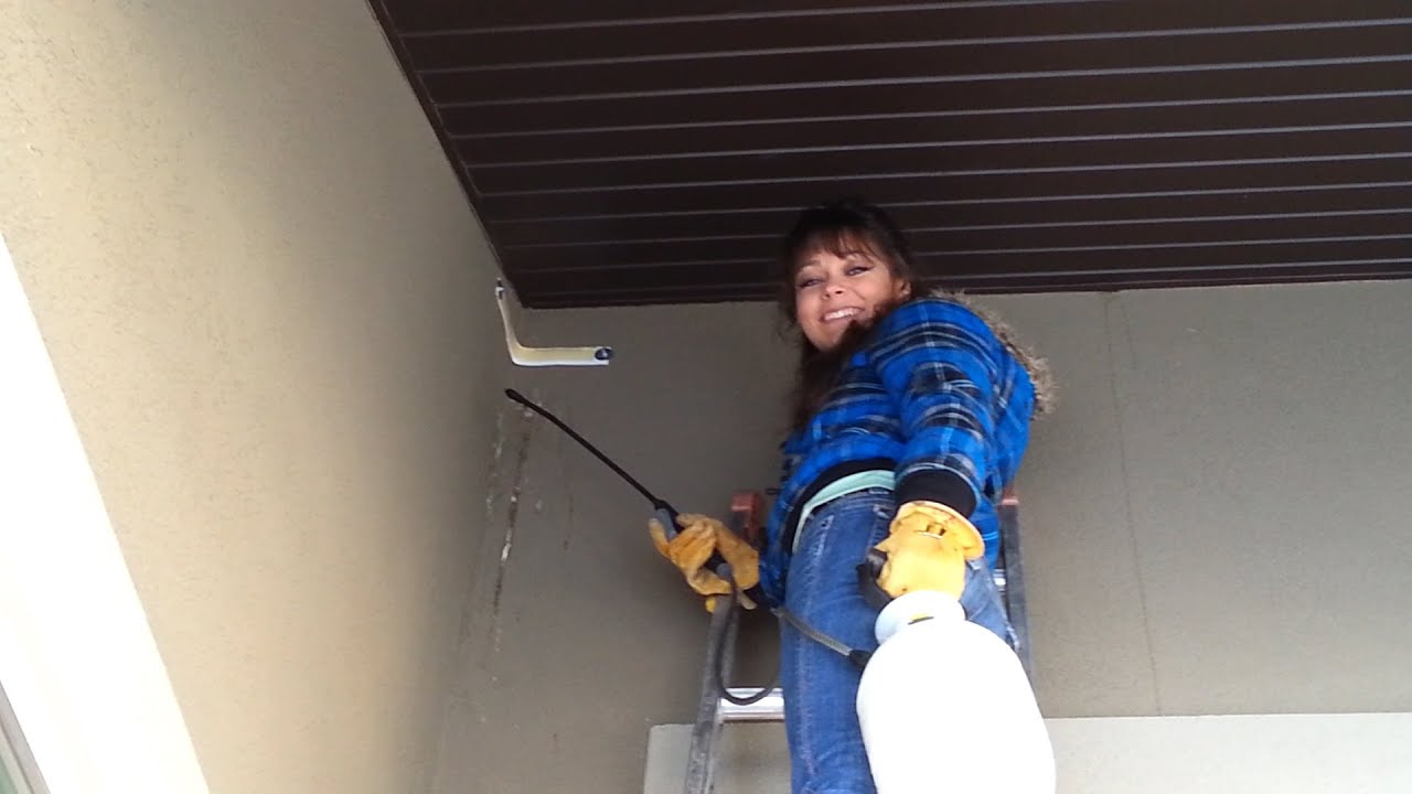 How To Get Rid Of Woodpeckers YouTube How To Get Rid Of Woodpeckers YouTube