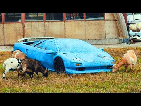 ¡12 Autos abandonados