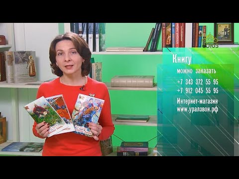 У книжной полки. Великие битвы России