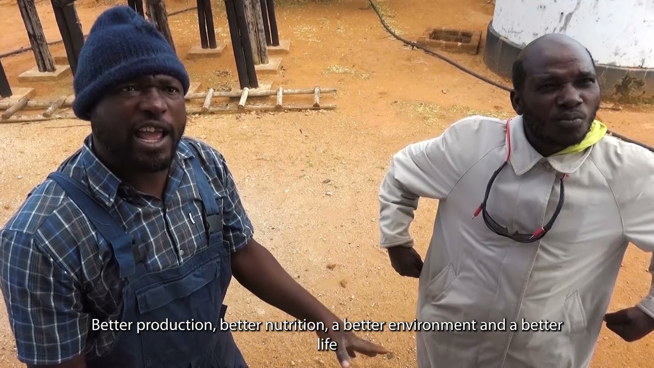 Sabhuku Vharazipi Kusimha ka uku?