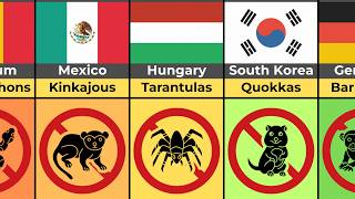Illegal Exotic Pets (By Country)