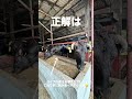 【間違い探し】優香くんの日常はInstagramハイライトをチェック✅