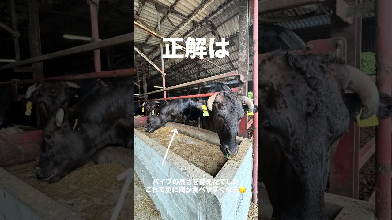 【間違い探し】優香くんの日常はInstagramハイライトをチェック✅