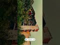 Motorola Edge 60 Camera Test 🔥 | DSLR Feel? #shorts