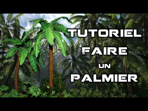 Vidéo: Comment faire un palmier avec des bouteilles en plastique : instructions étape par étape avec une photo