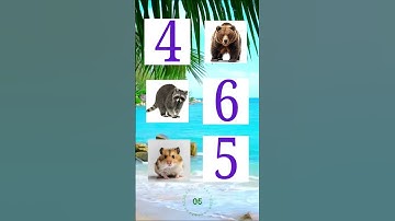 Test Your Memory With This Animal Challenge!
