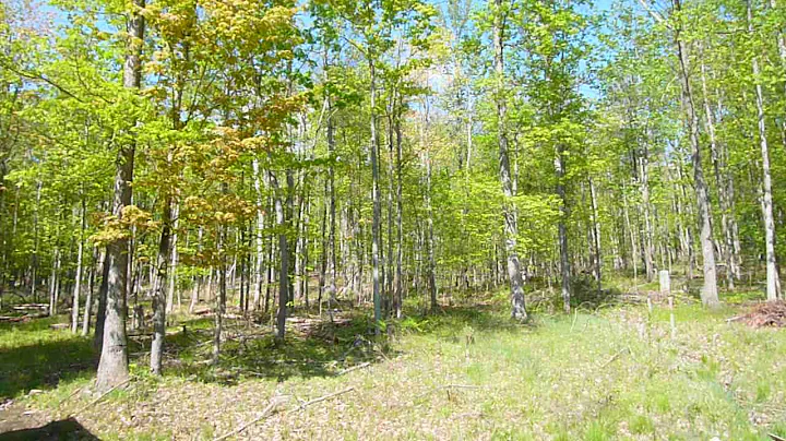 Panasonic DMC-ZS5 highest video quality test