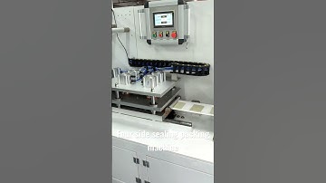 Four side sealing packing machine for food