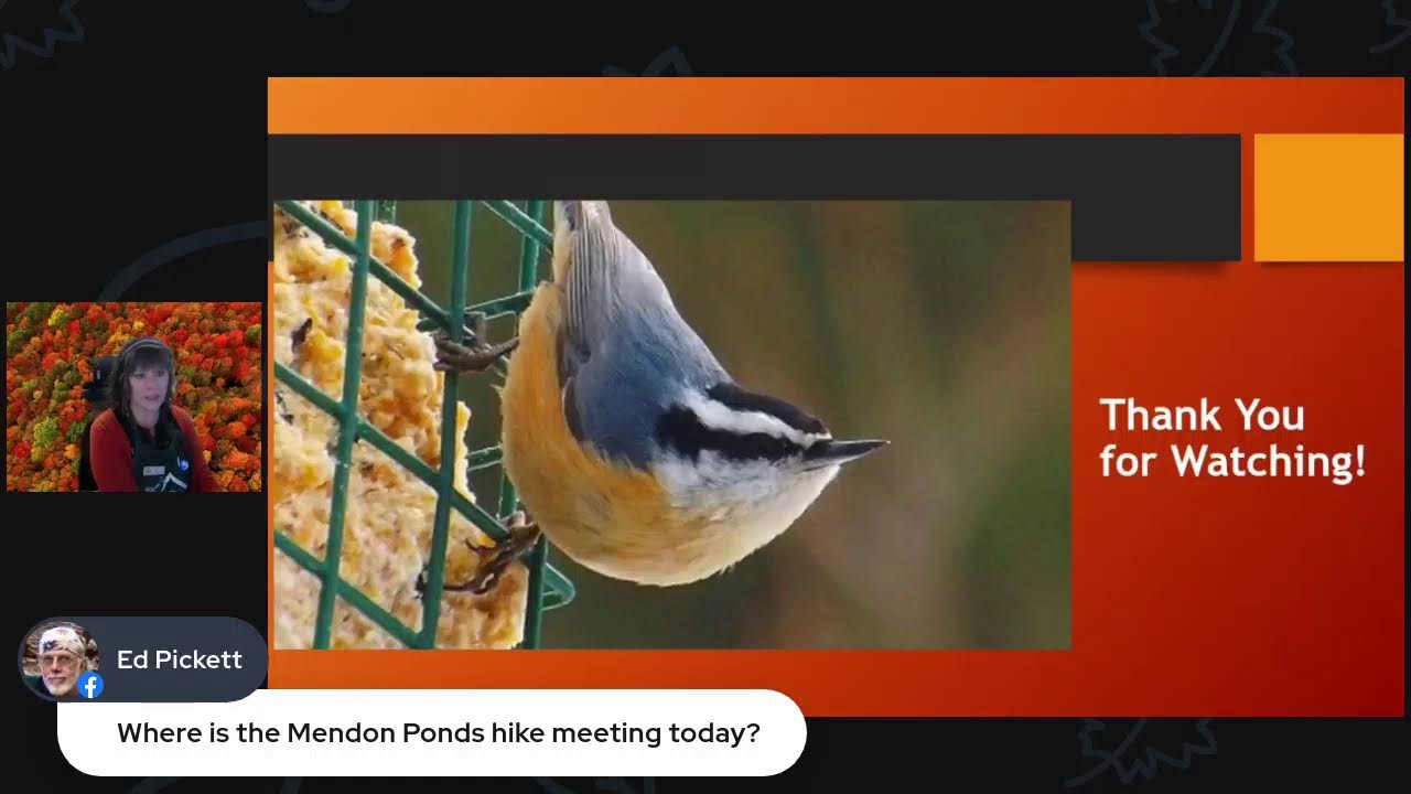 Rebroadcast- Fall Birding Basics