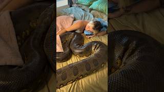 Snake Front of Her #shorts #shortvideo #viral #viralvideo #trendingshorts #snake